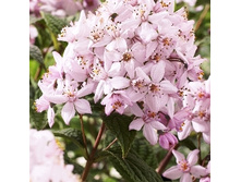 127���. ������ ���� ����.jpg