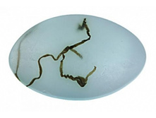 ����������� ������������ ���� Spa Energy,Spa Relax