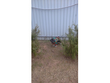 20151006 163952.jpg