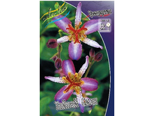 130,3���. ��������� ������ ����(�������� ���� �� 1 ��., ����������� ����� 1��.).jpg