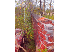 IMG 20151001 142841.jpg