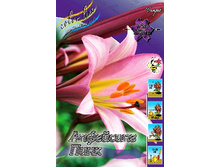 43,44���. ����� ���� ������(�������� ���� �� 5 ��., ����������� ����� 1��.).jpg