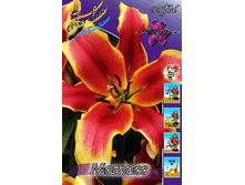 30,54���. ����� ������(�������� ���� �� 7 ��., ����������� ����� 1��.).jpg