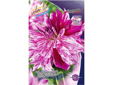 94���. �������� �������(�������� ���� �� 1 ��., ����������� ����� 1��.).jpg