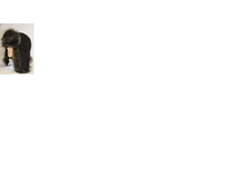 ����������3.png