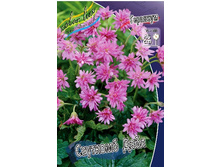 113,7���. �������� �������� ����(�������� ���� �� 1 ��., ����������� ����� 1��.).jpg