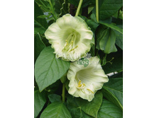 ����� ����� 5�� 12.jpg