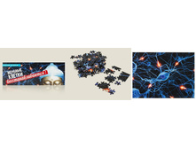 ���� ������� ������ �����������������.