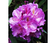 301���. ����������� ��������� ������.jpg