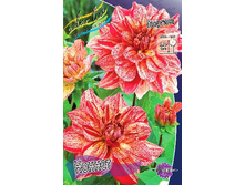 80,2���. �������� ������(�������� ���� �� 1 ��., ����������� ����� 1��.).jpg