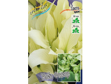 151,8���. ����� ���� �����(�������� ���� �� 1 ��., ����������� ����� 1��.).jpg