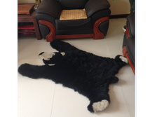 ����� �����2 ���������� 3100�.jpg