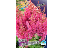 109,4���. �������� ����� ��� �������(�������� ���� �� 1 ��., ����������� ����� 1��.).jpg