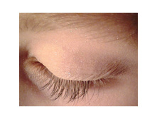 �����. ���� ������.jpg