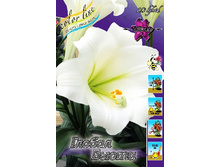 27,09���. ����� ������ �����(�������� ���� �� 7 ��., ����������� ����� 1��.).jpg