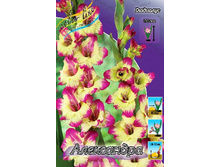 10,18���. ��������� ����������(���������� ������ ������ ���������� �� 9 ��.).jpg