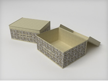 ������ 532 enl ���� ������� (�������) 45�35�20 �� 438�.jpg