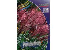 107���. ��������� ���������(�������� ���� �� 1 ��., ����������� ����� 1��.).jpg