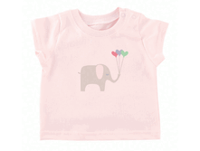 �������	v0246	 ��������.  262 ���.  �-�� 62,68,74,80,86