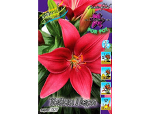 30,48���. ����� ����� ����(�������� ���� �� 5 ��., ����������� ����� 1��.).jpg