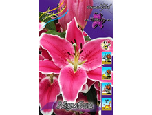 32,2���. ����� ������(�������� ���� �� 5 ��., ����������� ����� 1��.).jpg