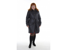 ������ �����.Chiago 1405-1 col.8062