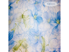 �����-������ 008.jpg