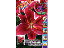 41,72���. ����� �������� ��������(�������� ���� �� 5 ��., ����������� ����� 1��.).jpg