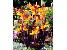 76,9���. ����� (������) �������(�������� ���� �� 1 ��., ����������� ����� 1��.)���16.jpg