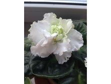 ��-�������