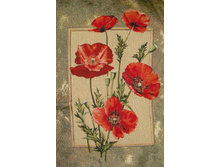 ������ ���� - ����������� �����.jpg