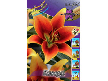 33,08���. ����� ������(�������� ���� �� 5 ��., ����������� ����� 1��.).jpg