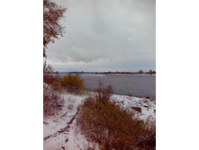 IMG 20151011 095627.jpg