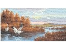 �������- ����������� �����.jpg