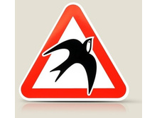 �������� ��������.