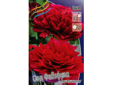 2087,5���. ���� ��� ��������(�������� ���� �� 1 ��., ����������� ����� 1��.).jpg