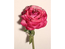 401/2472L ����