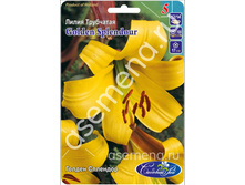 ������ ��������.jpg