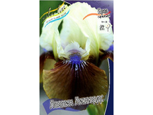 95,3���. ���� ���������� ������ ��������(�������� ���� �� 2 ��., ����������� ����� 1��.).jpg