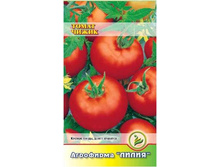 ����� ����� (������) 	0,1	6,00 ���.