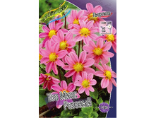 70,9���. �������� ��� ���� �������(�������� ���� �� 1 ��., ����������� ����� 1��.).jpg