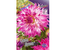 84,8���. �������� ����� �����(�������� ���� �� 1 ��., ����������� ����� 1��.).jpg