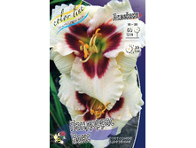 81,7���. �������� ��������� ����(�������� ���� �� 2 ��., ����������� ����� 1��.).jpg