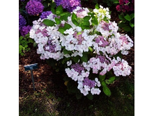 148���. ��������� �������������� �������.jpg