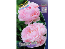 345,9���. ���� ������ ����(�������� ���� �� 1 ��., ����������� ����� 1��.).jpg