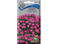 �������� �������� ��������-�������	, �������� -	5	��, ���� 9,90	+17%