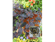 149,3���. ��������� ������� �������(�������� ���� �� 1 ��., ����������� ����� 1��.).jpg