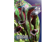 71,75���. ����� ���� ����(�������� ���� �� 2 ��., ����������� ����� 1��.).jpg