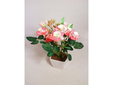 ��30/02-02 - 480 - ������ 25%