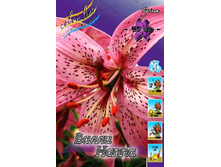 36,54���. ����� ����� �����(�������� ���� �� 5 ��., ����������� ����� 1��.).jpg